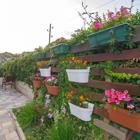 Village Holiday Apartman With Heated Pool Maslina Kostanje ภายนอก รูปภาพ